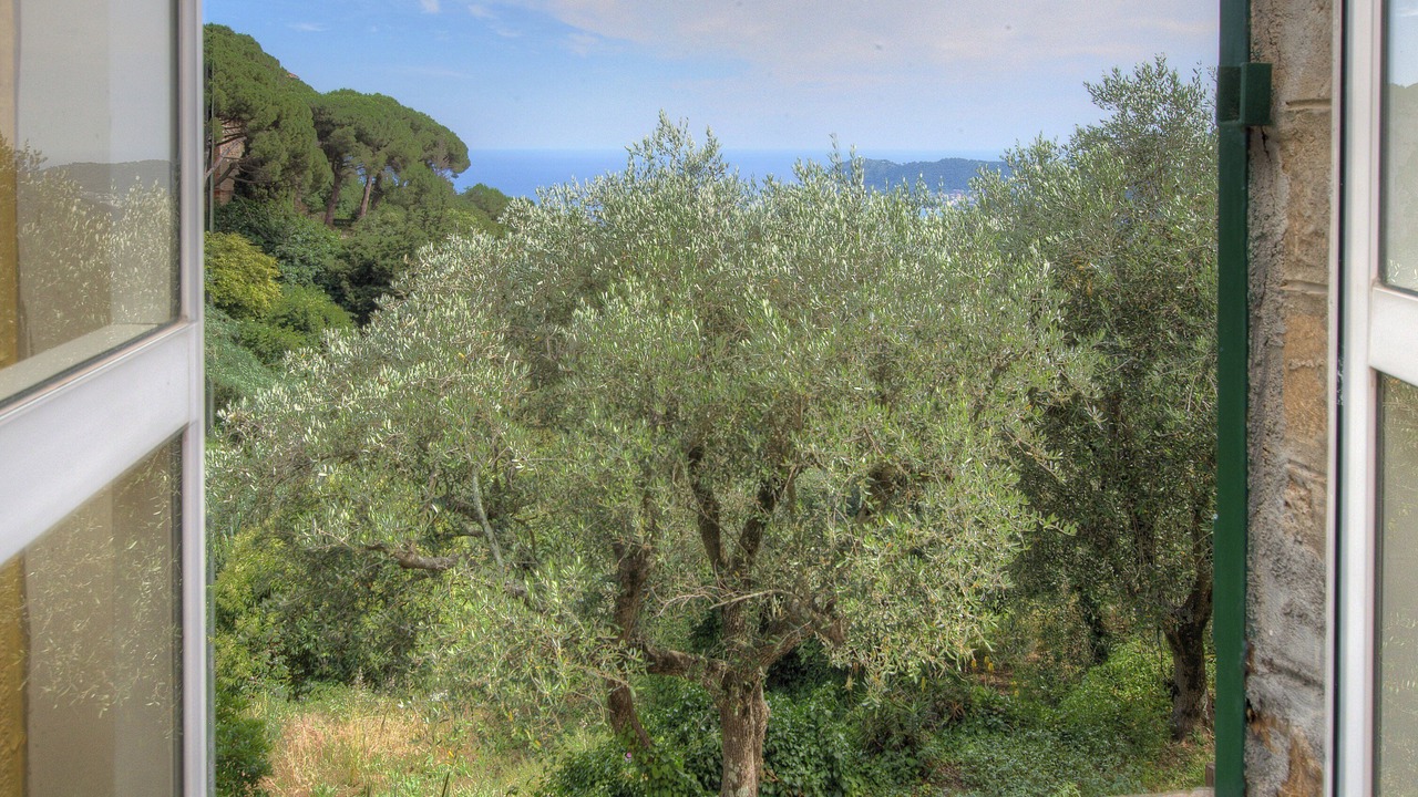 Photo of Others in Moglio