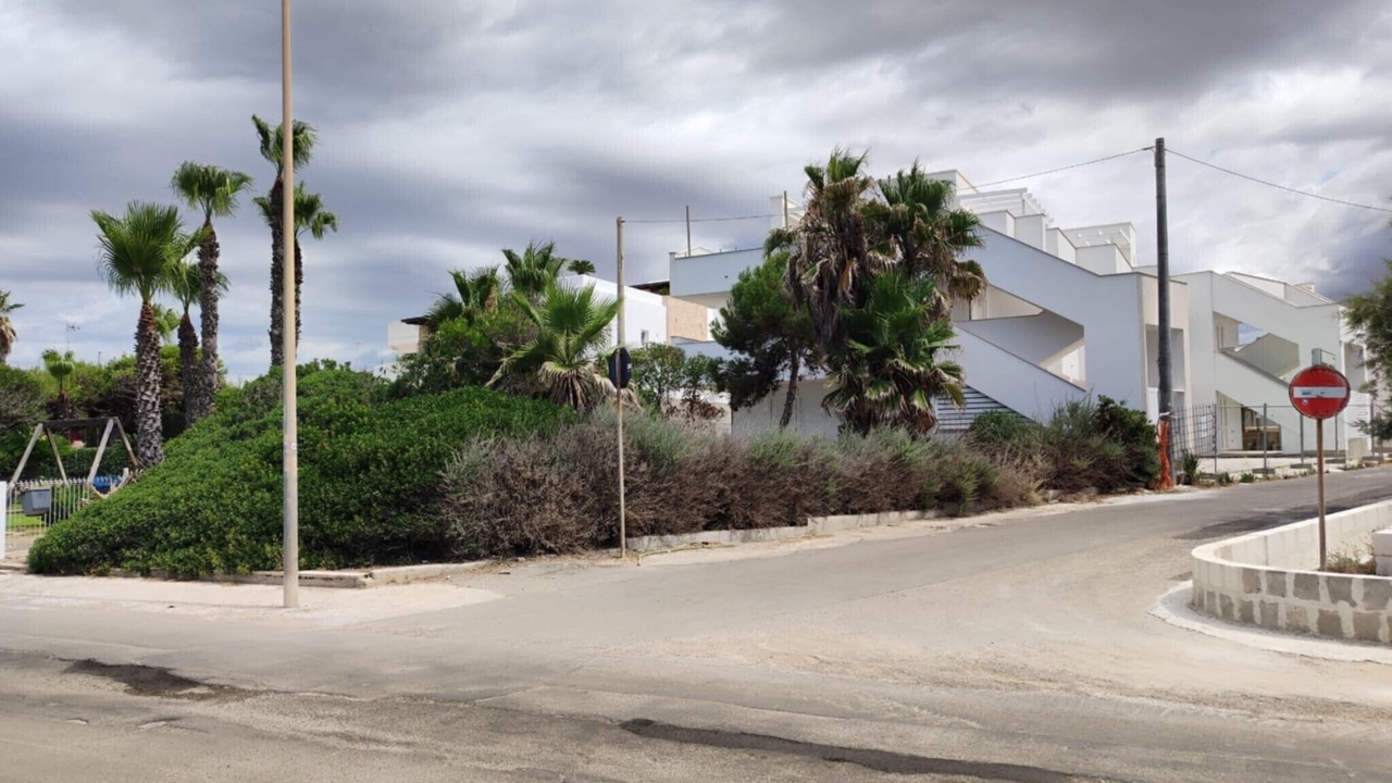 Photo of Others in Torre San Giovanni