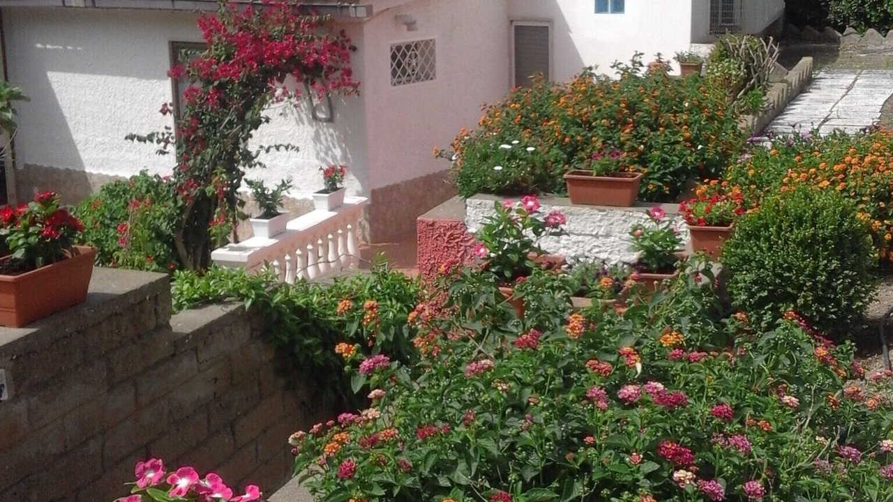 Photo of Outdoor in Ventotene