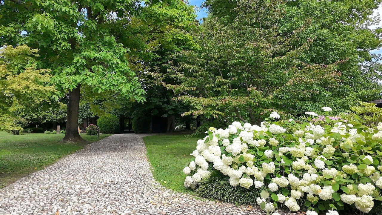 Photo of Outdoor in Padova