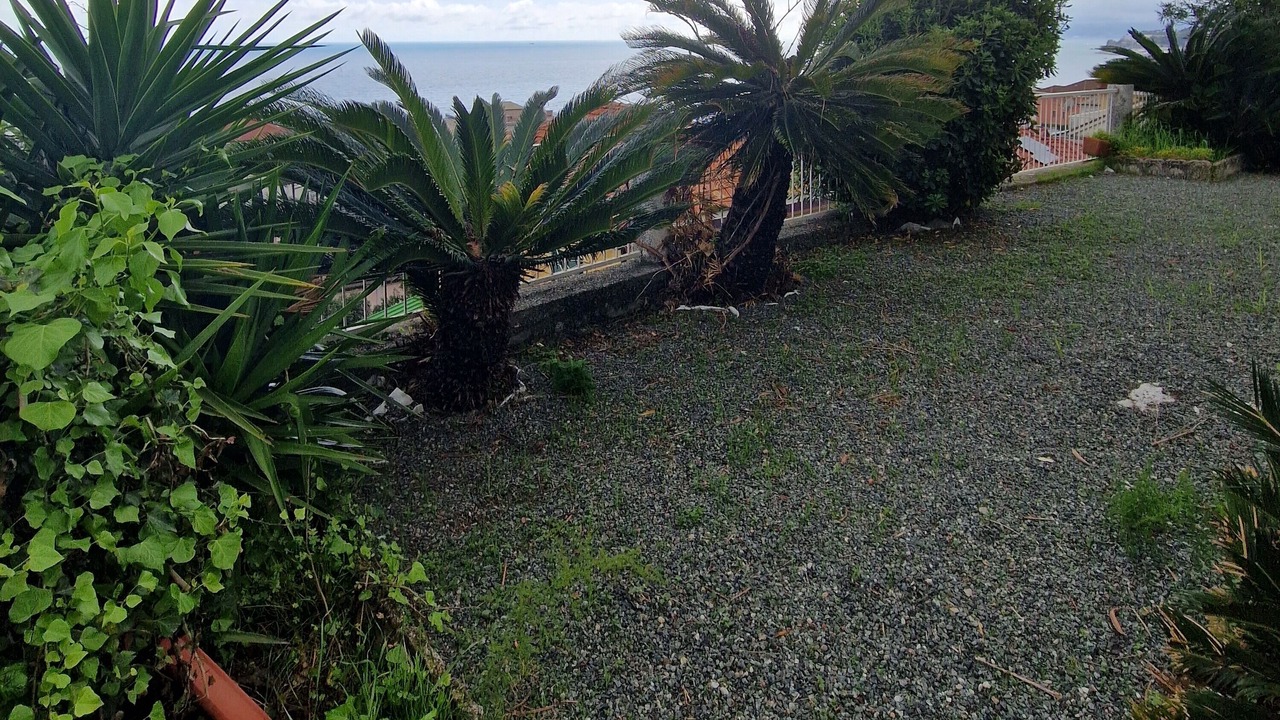 Photo of Outdoor in Varazze