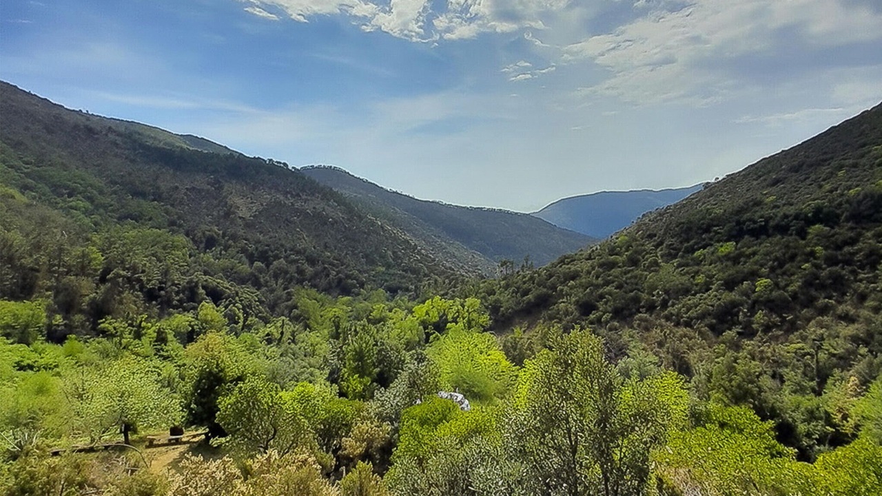 Photo of Bedroom in Casarza Ligure