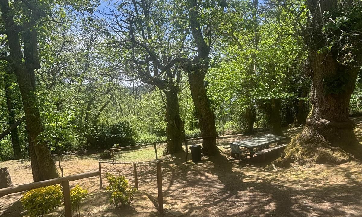 Photo of Outdoor in San Giuliano Terme