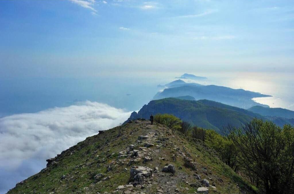 Photo of Others in Vico Equense
