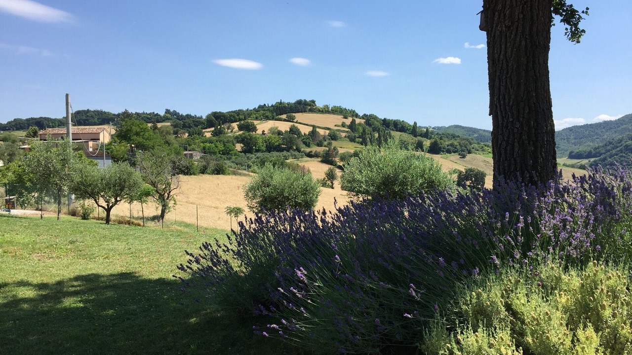 Photo of Outdoor in Montelabbate
