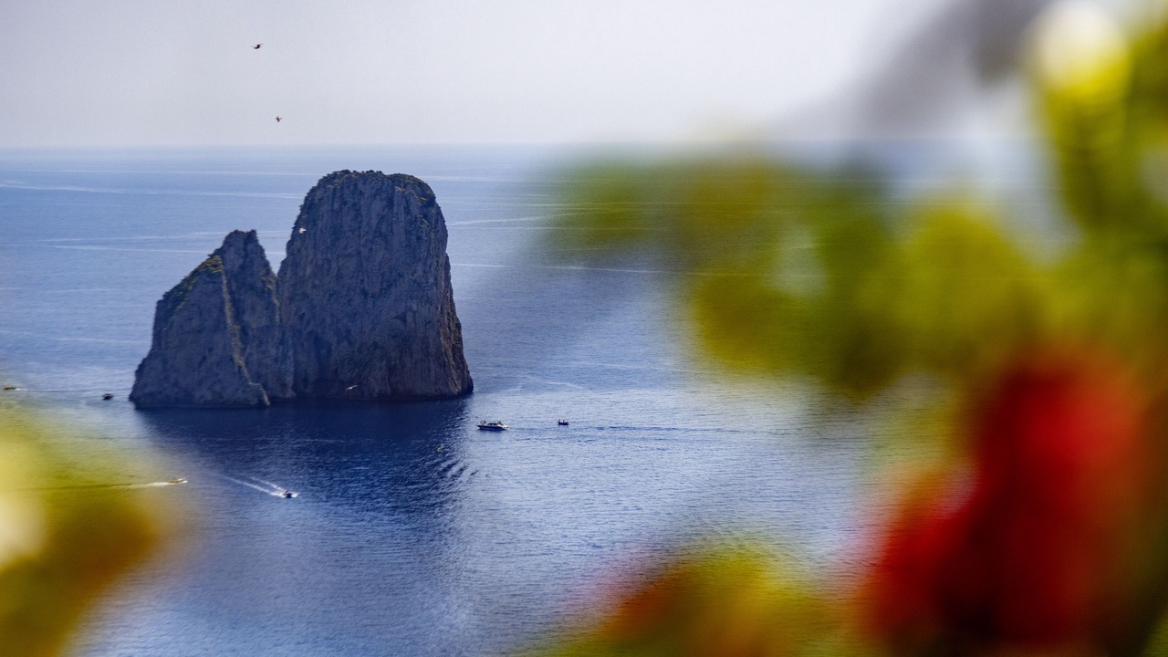 Photo of Others in Marina Piccola