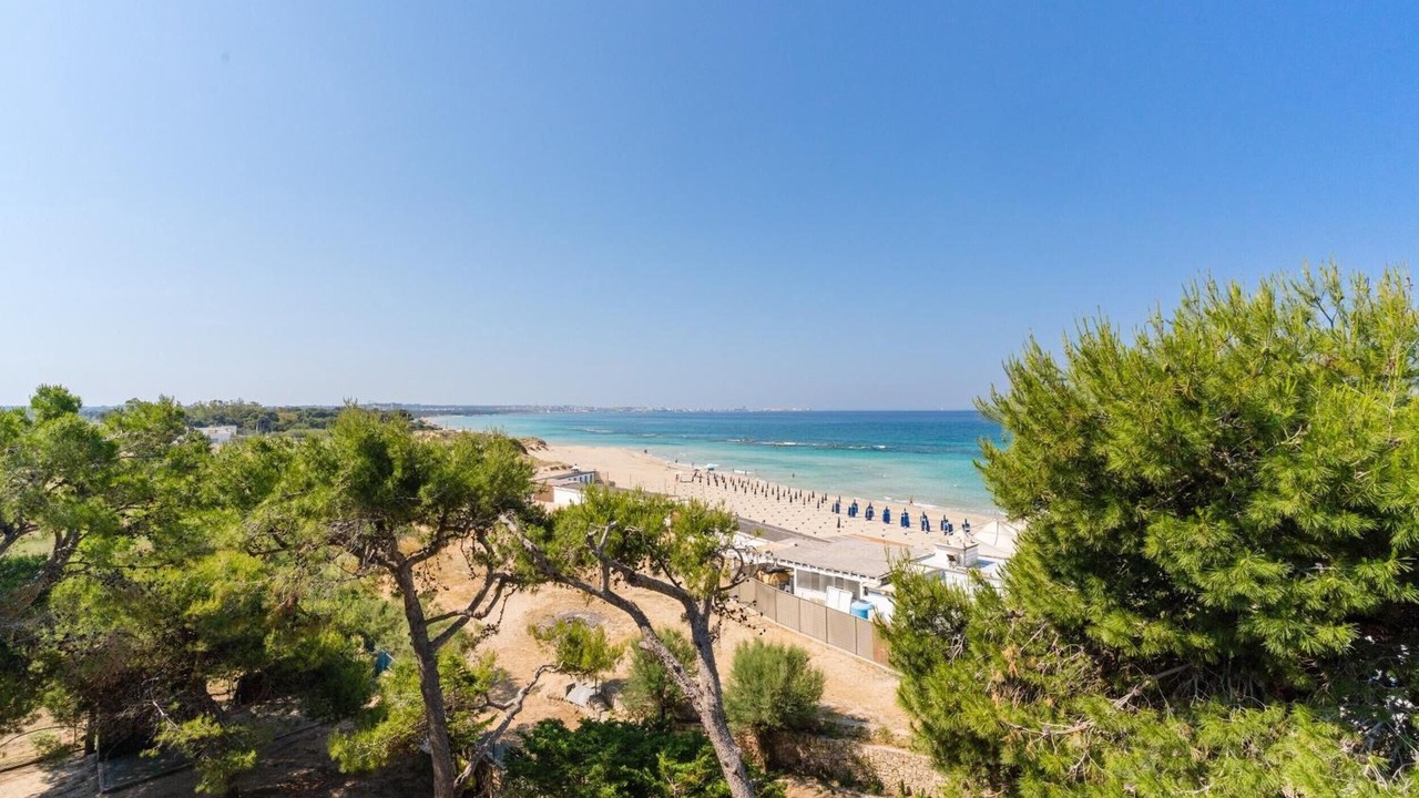 Photo of Others in Lido Conchiglie