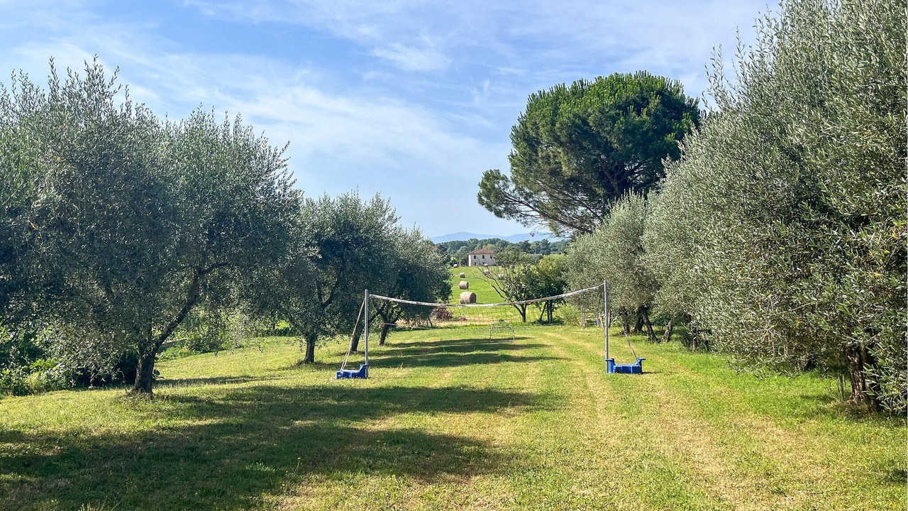Photo of Others in Tuoro sul Trasimeno