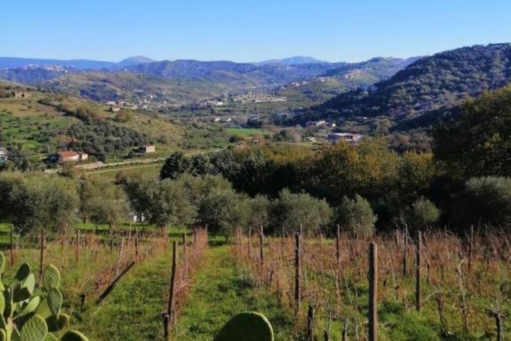 Photo of Outdoor in Laureana Cilento