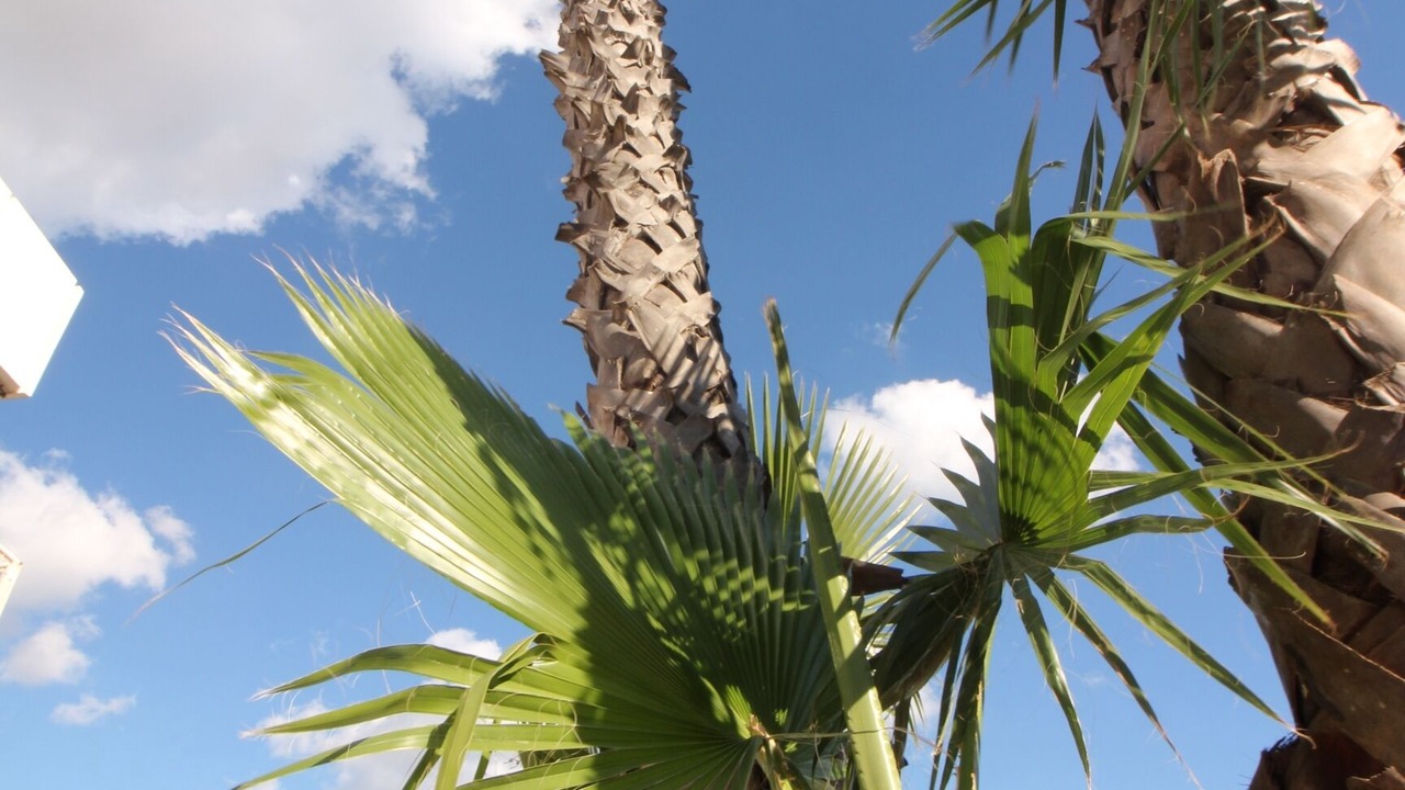Photo of Outdoor in Torre San Giovanni