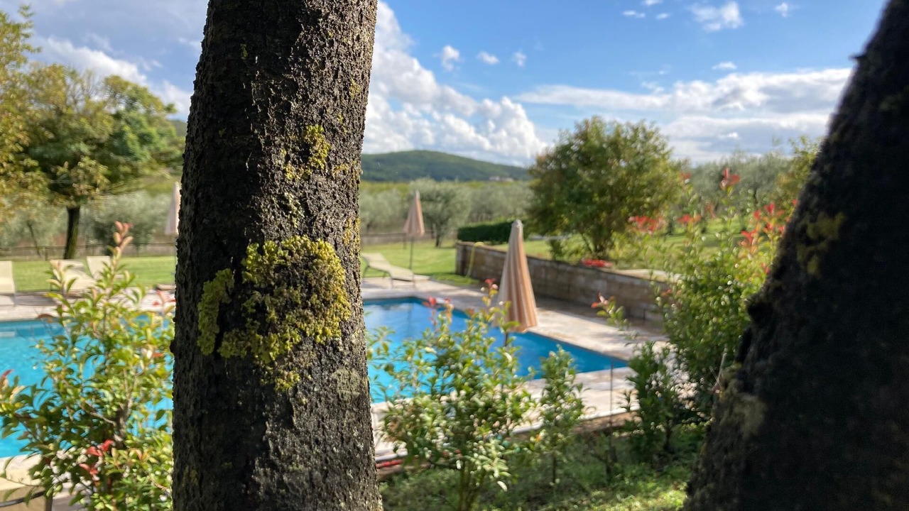 Photo of Outdoor in Sovicille