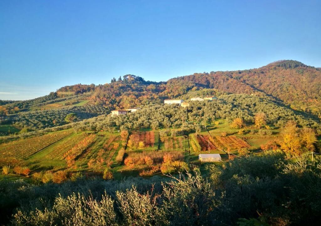 Photo of Outdoor in San Michele di Moriano