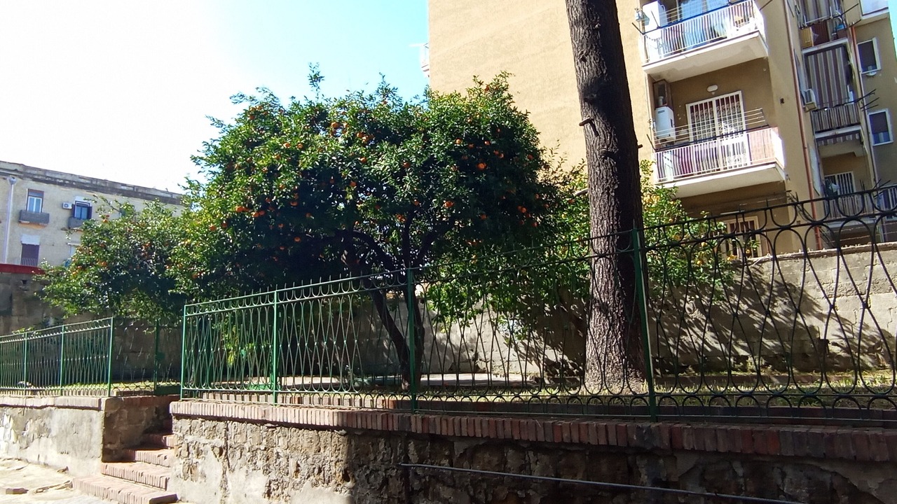 Photo of Outdoor in Secondigliano