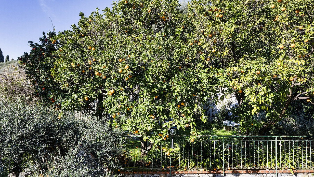 Photo of Outdoor in Recco