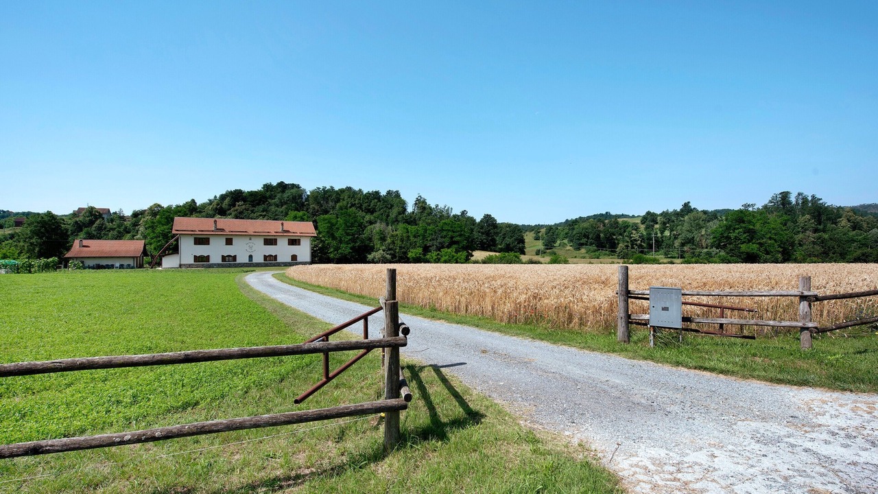 Photo of Others in Sassello