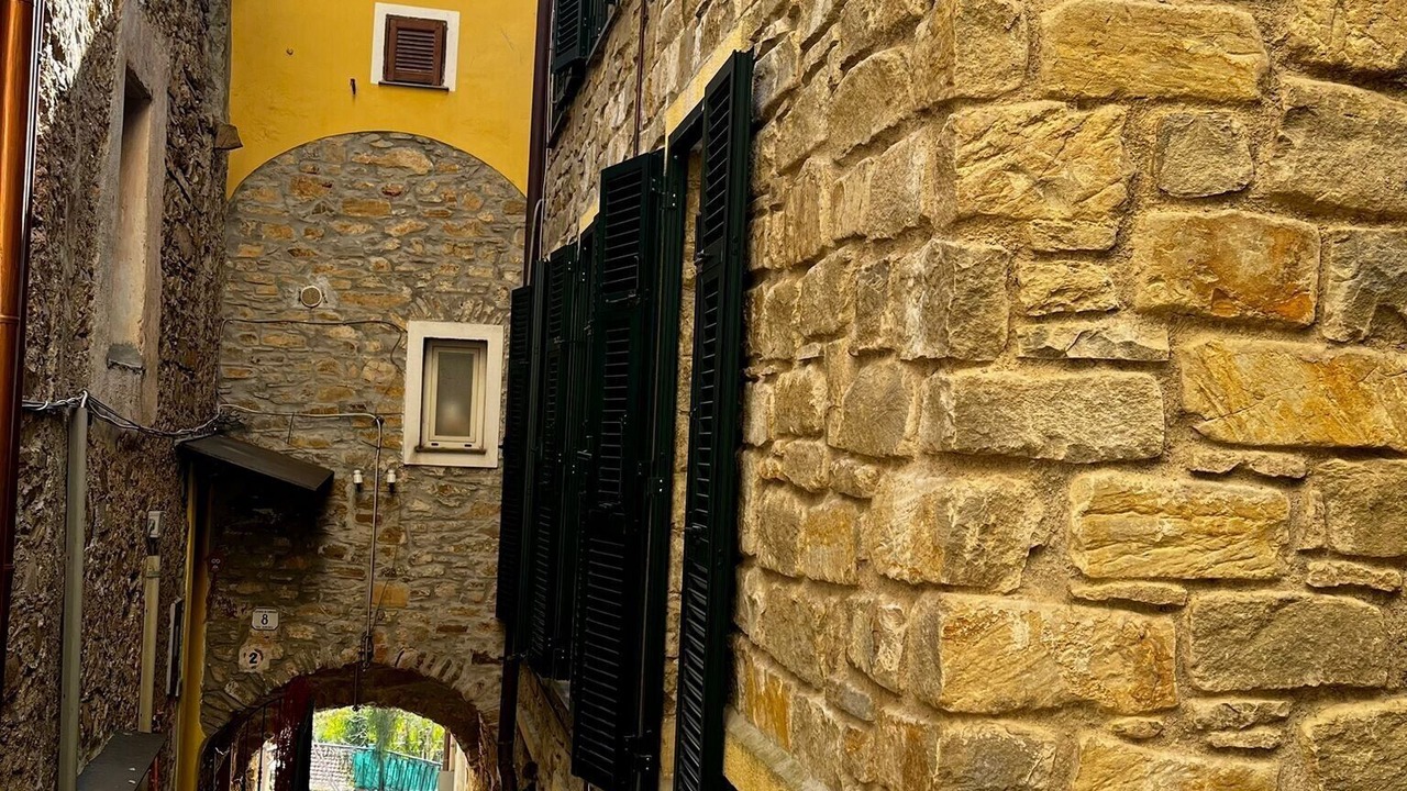Photo of Others in Cipressa