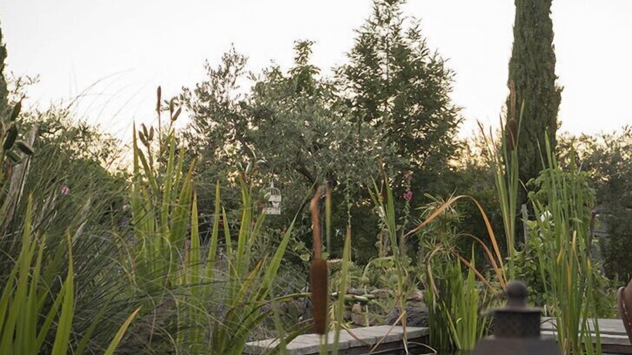 Photo of Outdoor in Penna
