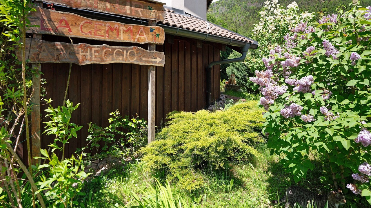 Photo of Outdoor in Sant'Orsola Terme