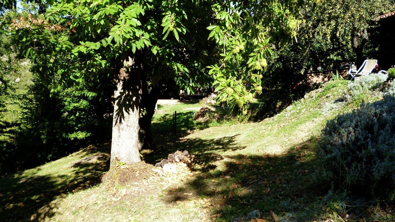 Photo of Outdoor in Seggiano
