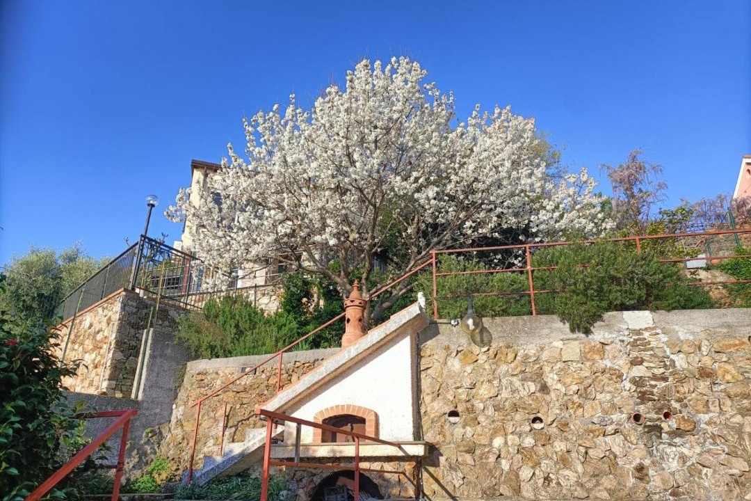Photo of Others in Torre del Mare
