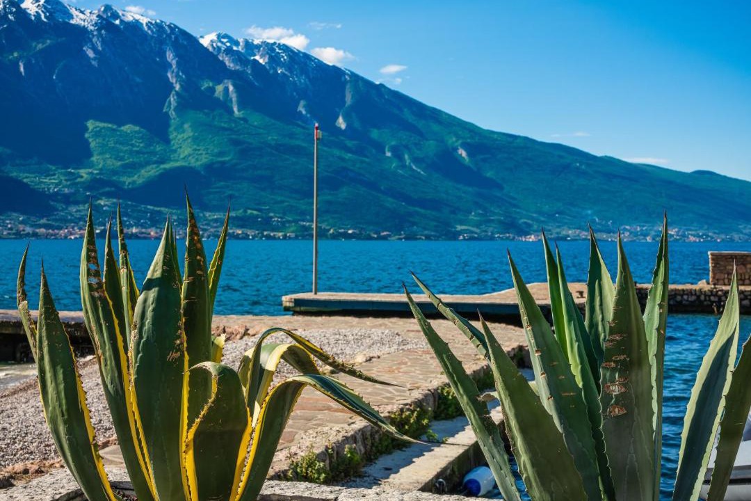 Photo of Others in Limone sul Garda