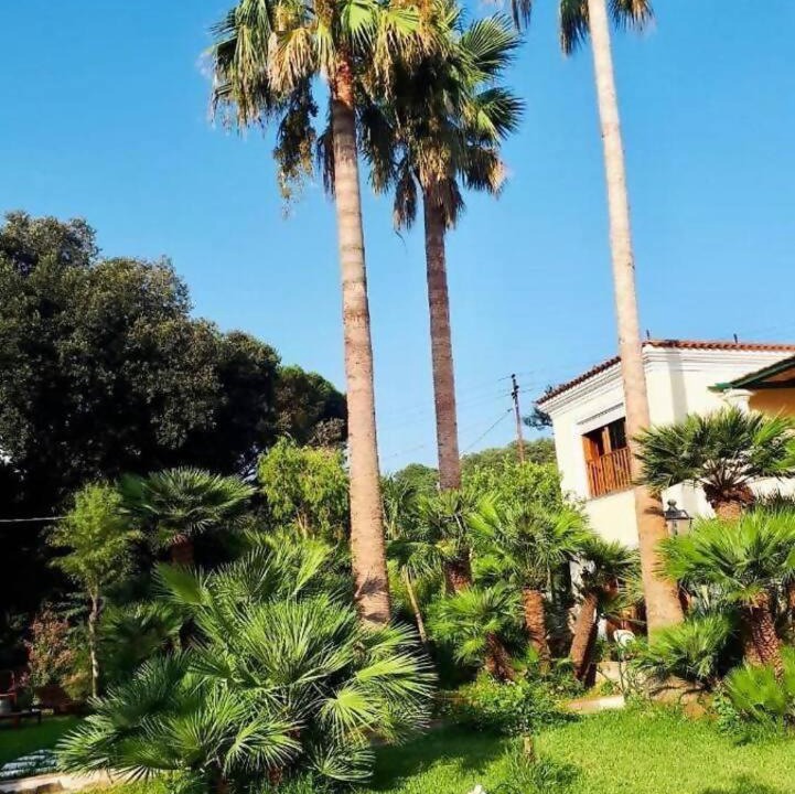 Photo of Others in Tiberio