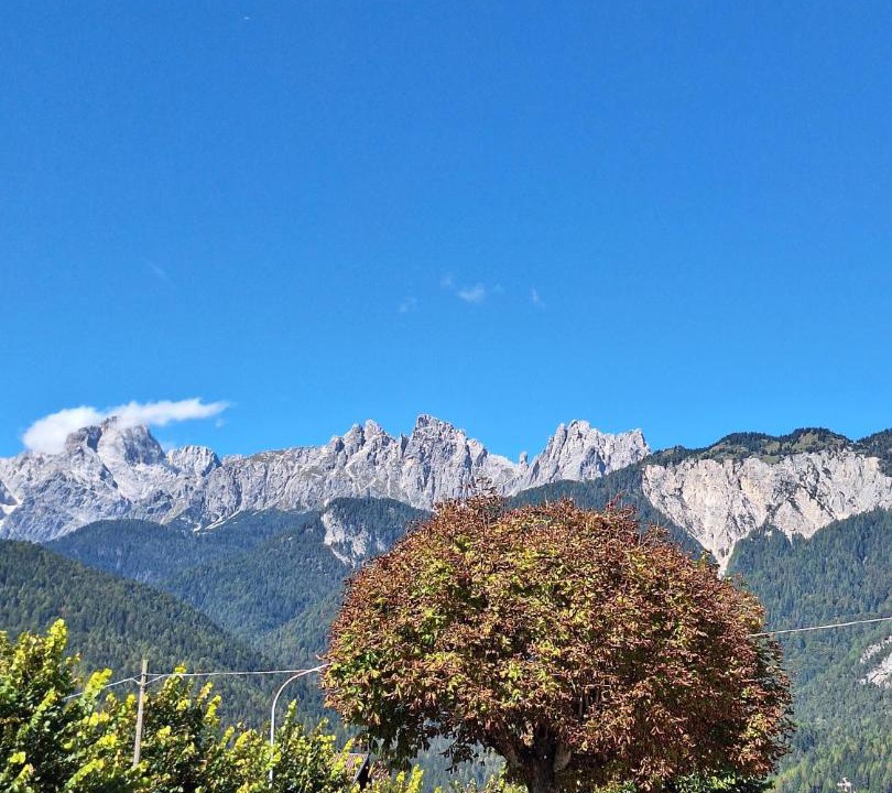 Photo of Others in Lorenzago di Cadore