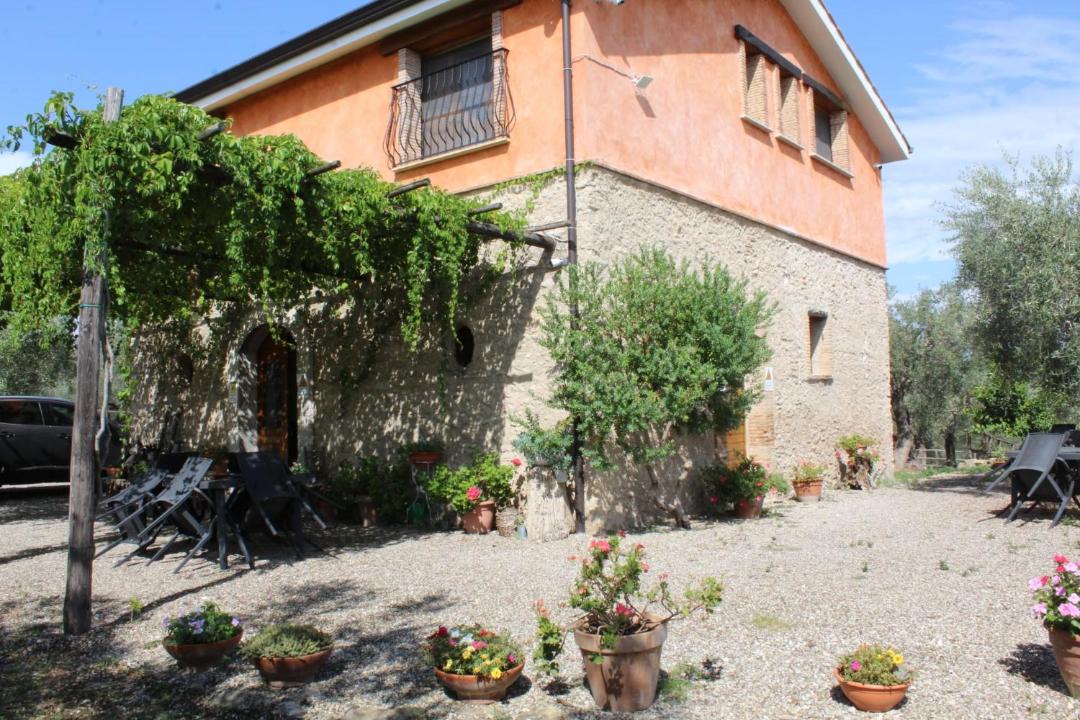 Photo of Others in Campagna