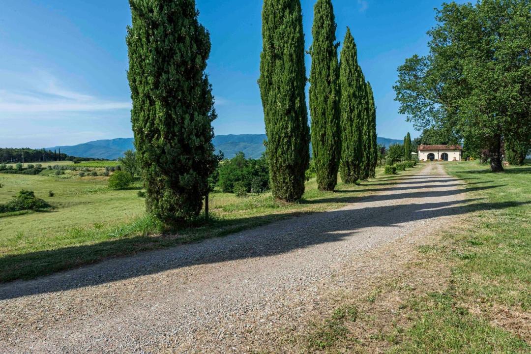 Photo of Others in Montevarchi