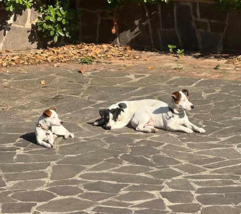 Photo of Others in Cava de' Tirreni