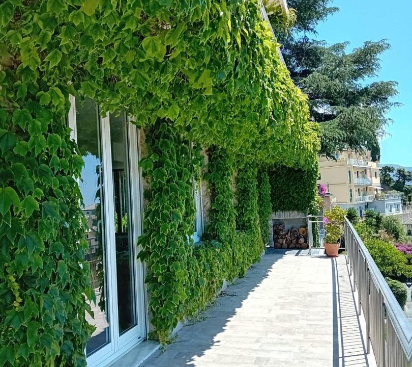 Photo of Others in Pieve Ligure