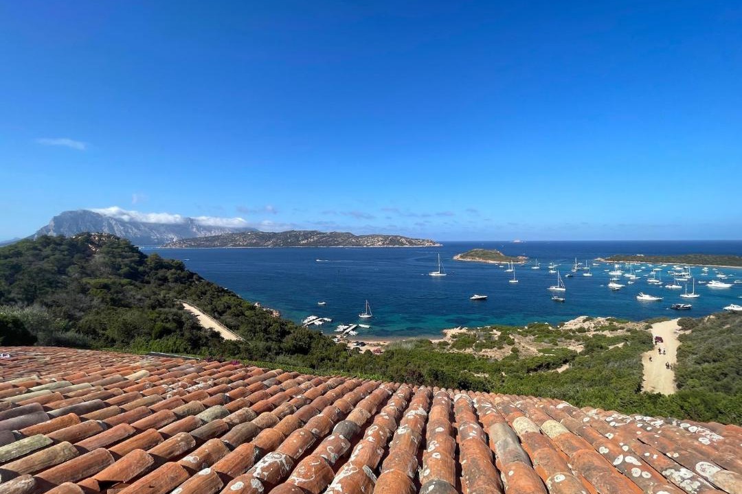 Photo of Others in Capo Coda Cavallo
