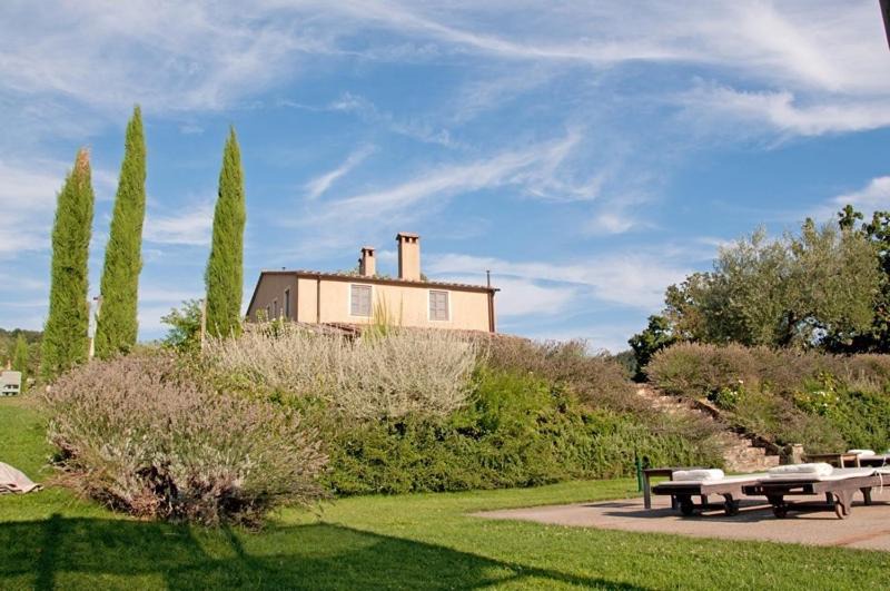 Photo of Others in San Casciano dei Bagni