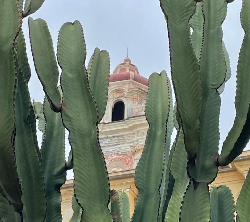 Photo of Others in Cervo
