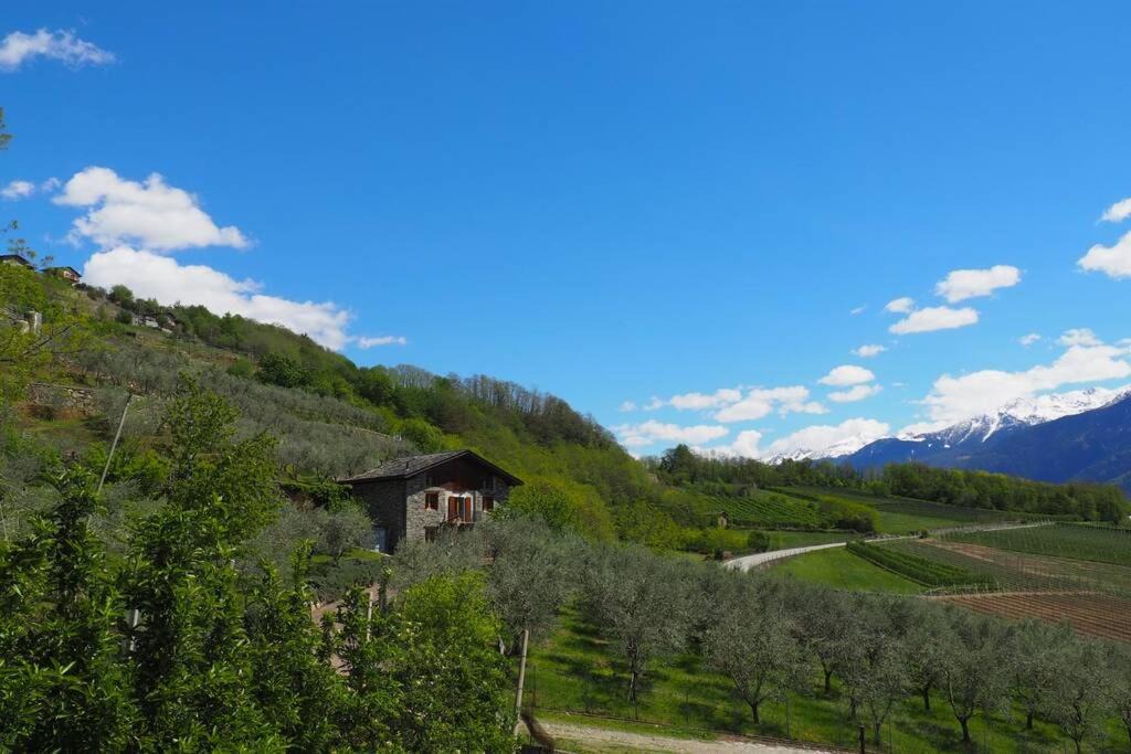 Photo of Others in Valtellina
