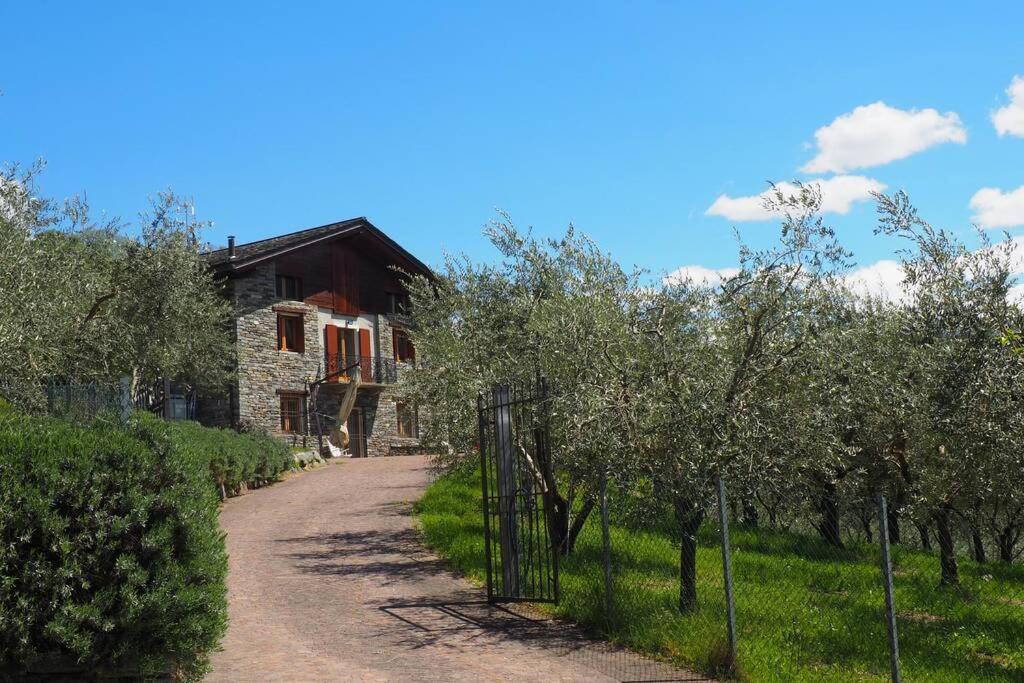 Photo of Others in Valtellina