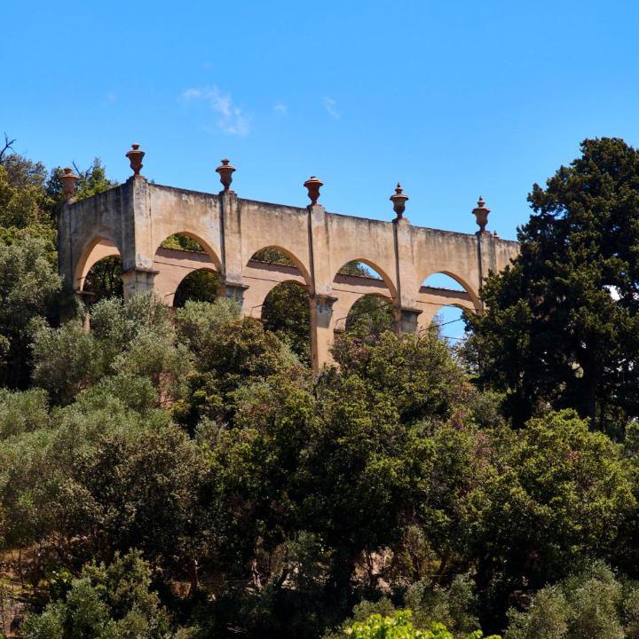 Photo of Others in San Giuliano Terme