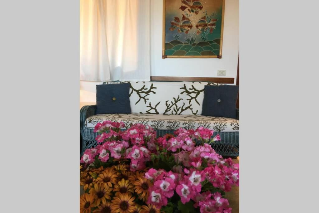 Photo of Others in Porto San Paolo