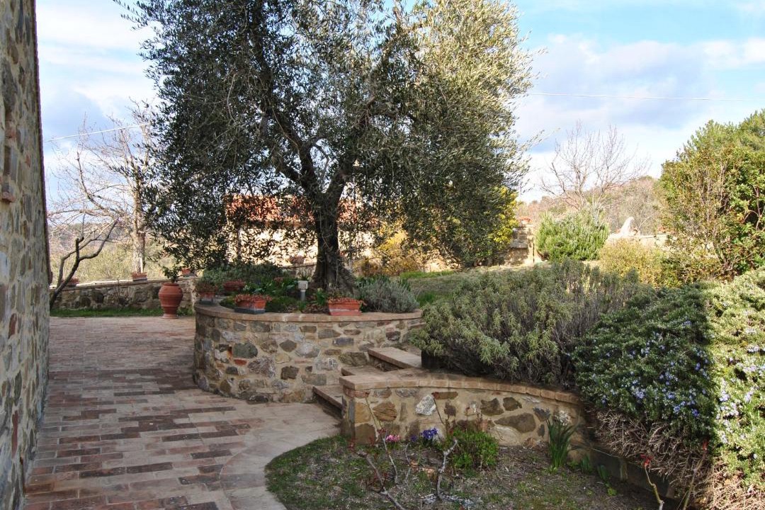 Photo of Others in Seggiano