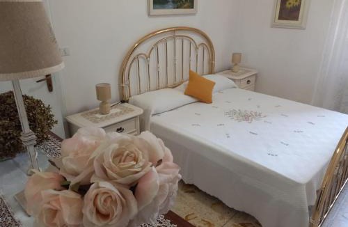 Vallo della Lucania Bed & Breakfast | B&B Il giardino dei fiori