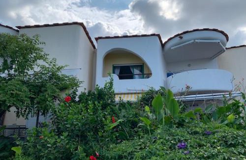 Lacco Ameno House | Arcadia Case e Vacanze