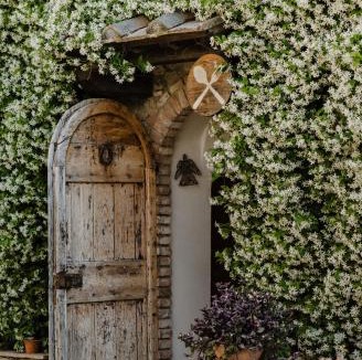 San Gimignano House | Fattoria San Donato