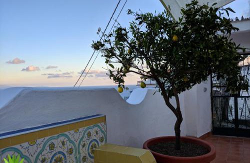 Raito Apartment | Villa delle Agavi