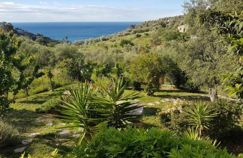 Poggi Apartment | I Valloni Apartments