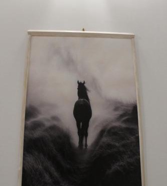 Griseo Equus Apartments GEAs