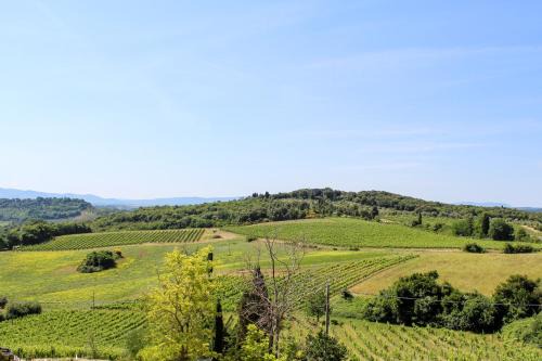 Fattoria San Donato